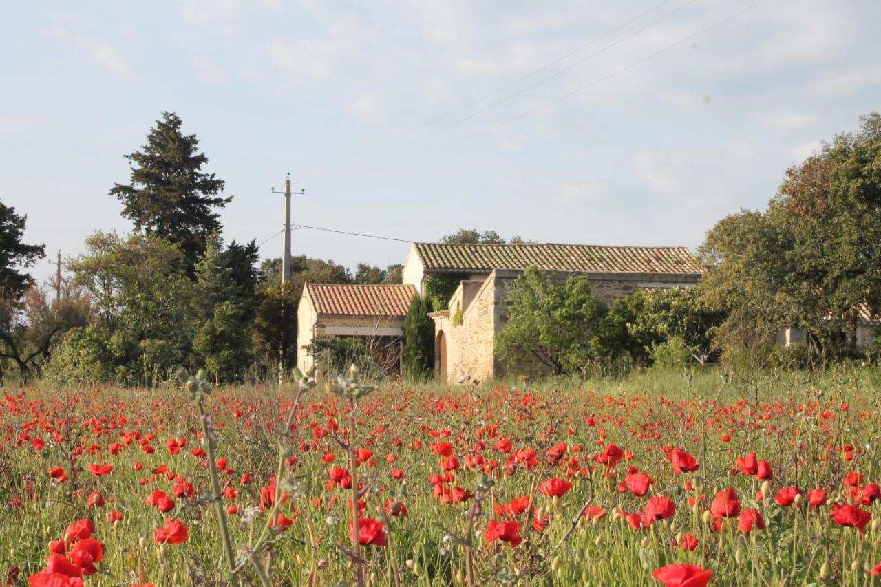 Le Mas De La Seuve Richerenches Extérieur photo